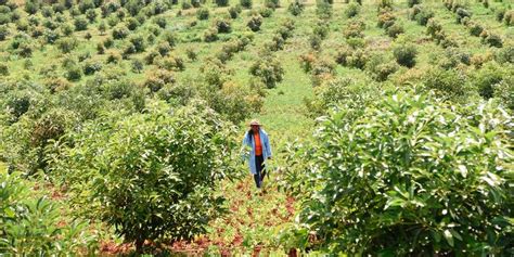 Success Story Of Grace Ngungi From Kiambu County .
